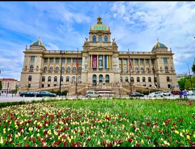 a building with a field of flowers in front of it at Vikys Apartment in Prague