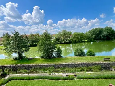 a park with benches and a lake with trees at Chalupa nad rybníkem in Straškov