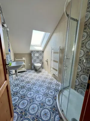 a bathroom with a shower and a sink at Chalupa nad rybníkem in Straškov