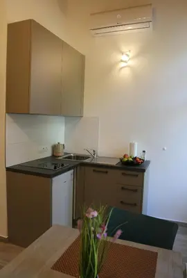 a kitchen with a stove and a sink and a table at Arbes 11 in Prague