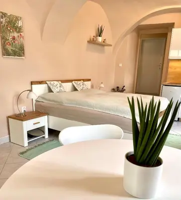 a bedroom with a bed and a potted plant at Apartmán Dominikánská in Litoměřice