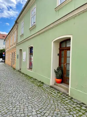 a green building with a door and a potted plant at Apartmán Dominikánská in Litoměřice