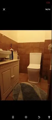 a bathroom with a toilet and a sink at Chalupa pod hradem Talmberk in Samopše