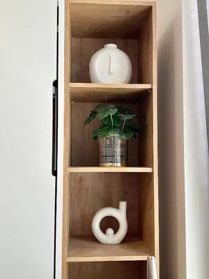a wooden book shelf with a plant and a vase at Cozy studio prague 5 in Prague