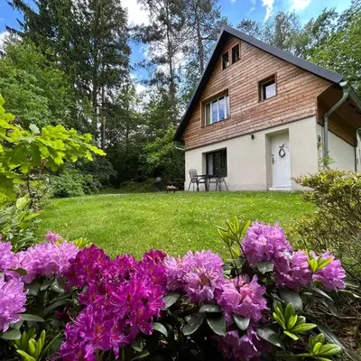 Cosy chalet with wellness