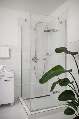 a glass shower stall with a plant in a bathroom at Vila Zlatý Slavík - Luxurious Villa with Spa in Jevany