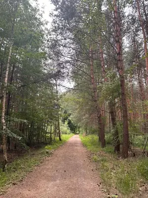 a dirt road in the middle of a forest at Chatinka Kersku in Hradišťko
