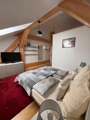 a bedroom with a large bed with a red rug at Arbes 20 - Family Suite in Prague