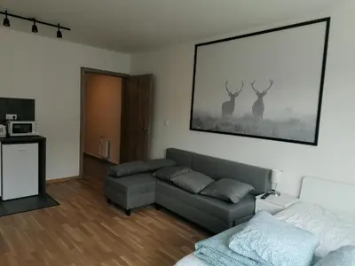 a living room with a couch and two deer on the wall at Brand new two room apartment #23 with FREE parking in the city center in Prague