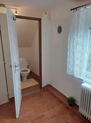 a bathroom with a toilet and a door with a window at Bruno in Postřižín