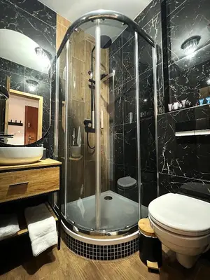 a bathroom with a shower and a toilet and a sink at Apartmán II centrum Praha in Prague