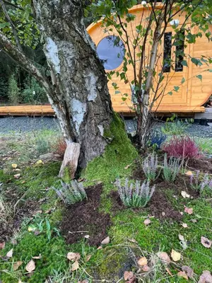 a tree in a yard with plants around it at Maringotka u lesa in Staňkovice