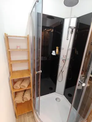 a shower with a glass door and some towels at Pension Nad Zlichovem in Prague