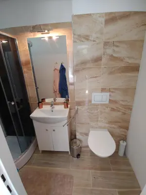 a bathroom with a toilet and a sink and a mirror at Pension Nad Zlichovem in Prague
