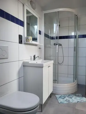 a bathroom with a shower and a toilet and a sink at Komárov Apartment in Beroun