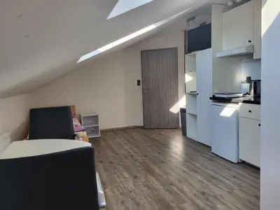 a small apartment with a kitchen and a living room at Komárov Apartment in Beroun