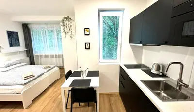 a kitchen with a sink and a bed in a room at Hillside Studios in Prague