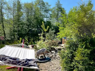 a tent and a toy horse in a garden at Garden Residence - The Nest in Drahobudice
