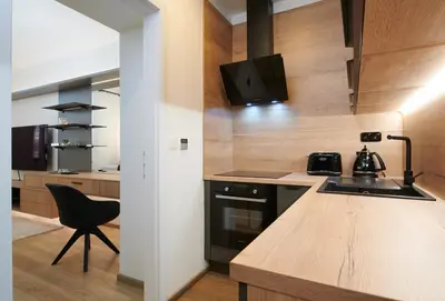 a kitchen with a sink and a counter top at PB apartment Prague in Prague