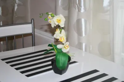 a green vase with white flowers on a table at Apartment Marilyn in Prague