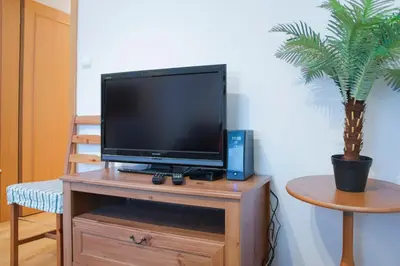 a television on a wooden stand with a potted plant at Modern Apartments Opatovická in Prague