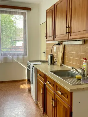 a kitchen with wooden cabinets and a sink and a window at Apartment s terasou Lysá in Lysá nad Labem