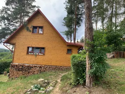 a house on a hill with a tree at Chata Mareš in Samechov
