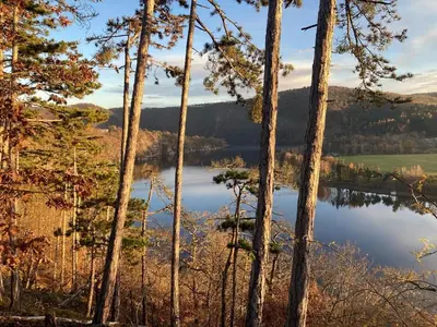 a view of a lake through the trees at Penzion Cholín in Nový Knín