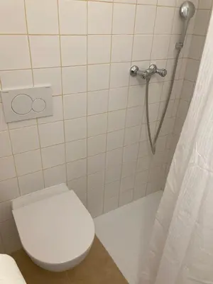 a bathroom with a toilet and a shower at Penzion Cholín in Nový Knín