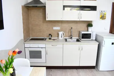 a white kitchen with a sink and a microwave at Prague City Centre Apartment in Prague
