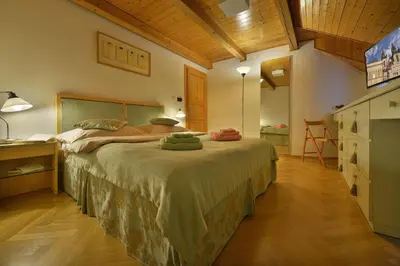 a bedroom with a large bed in a room at Old Town Apartments Tyn in Prague