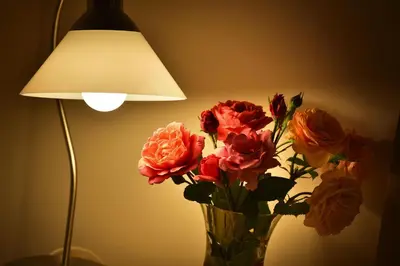 a vase of flowers sitting next to a lamp at Old Town Apartments Tyn in Prague