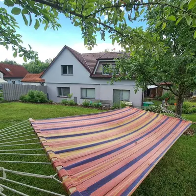 a hammock in a yard in front of a house at Votice Luční in Wotitz