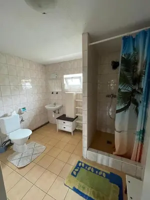 a bathroom with a shower and a toilet and a sink at Hostinec- Pension U Havlů in Třebenice