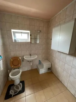 a bathroom with a toilet and a sink at Hostinec- Pension U Havlů in Třebenice