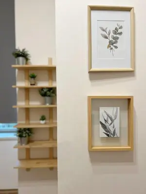 two pictures on a wall with a shelf with plants at Modern Apartment Krakovska in Prague
