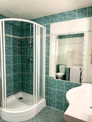 a bathroom with a shower and a sink at Modern Apartment Krakovska in Prague
