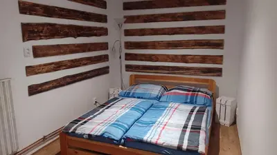 a bedroom with a bed with wooden accent walls at Ubytování Ždírec - Apartmán 1 in Ždírec
