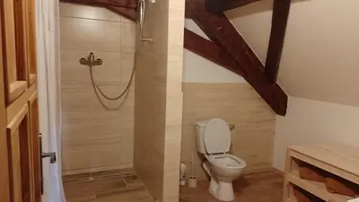a bathroom with a shower with a toilet at Ubytování Ždírec in Ždírec