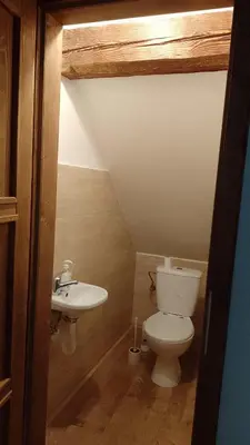 a bathroom with a toilet and a sink at Ubytování Ždírec in Ždírec