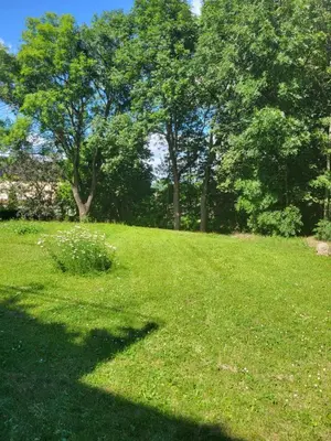 a field of green grass with trees in the background at Apartmán v Praze 6, Sedlec in Prague