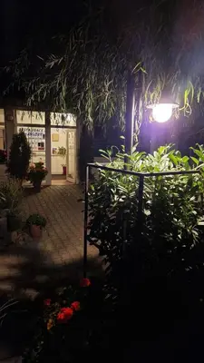 a dark room with a light and some plants at U Drahusky in Prague