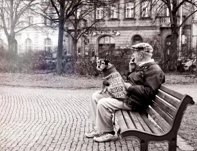 two men sitting on a park bench with a dog at Green Park View apartment in Prague