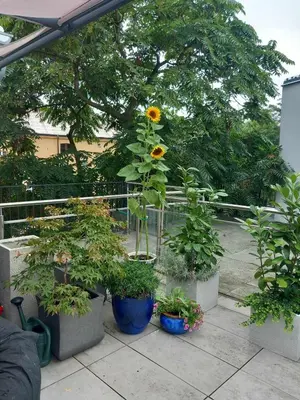 Gallery image of Apartmán v centru Prahy in Prague