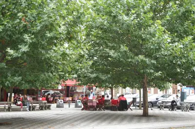 a tree on a sidewalk with people sitting under it at Apartment Sophia in Prague