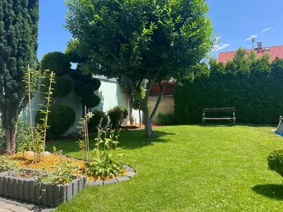 a garden with a bench and a tree and grass at Family House in Spa Town Podebrady with Garden in Poděbrady