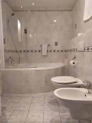 a bathroom with a shower and a toilet and a sink at Hotel Sanssouci in Prague
