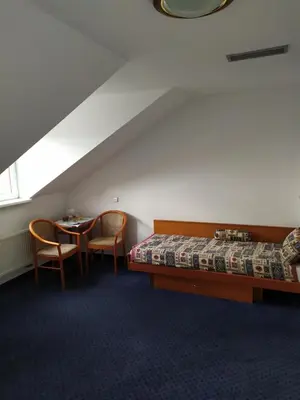 a room with a bed and a table and chairs at Hotel Sanssouci in Prague