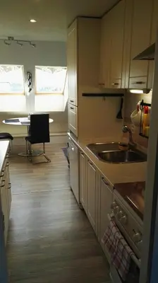 a kitchen with a sink and a table in it at Pension Villa Marit in Prague
