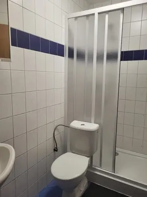 a bathroom with a toilet and a shower and a sink at Komárov Apartment 2 in Komárov